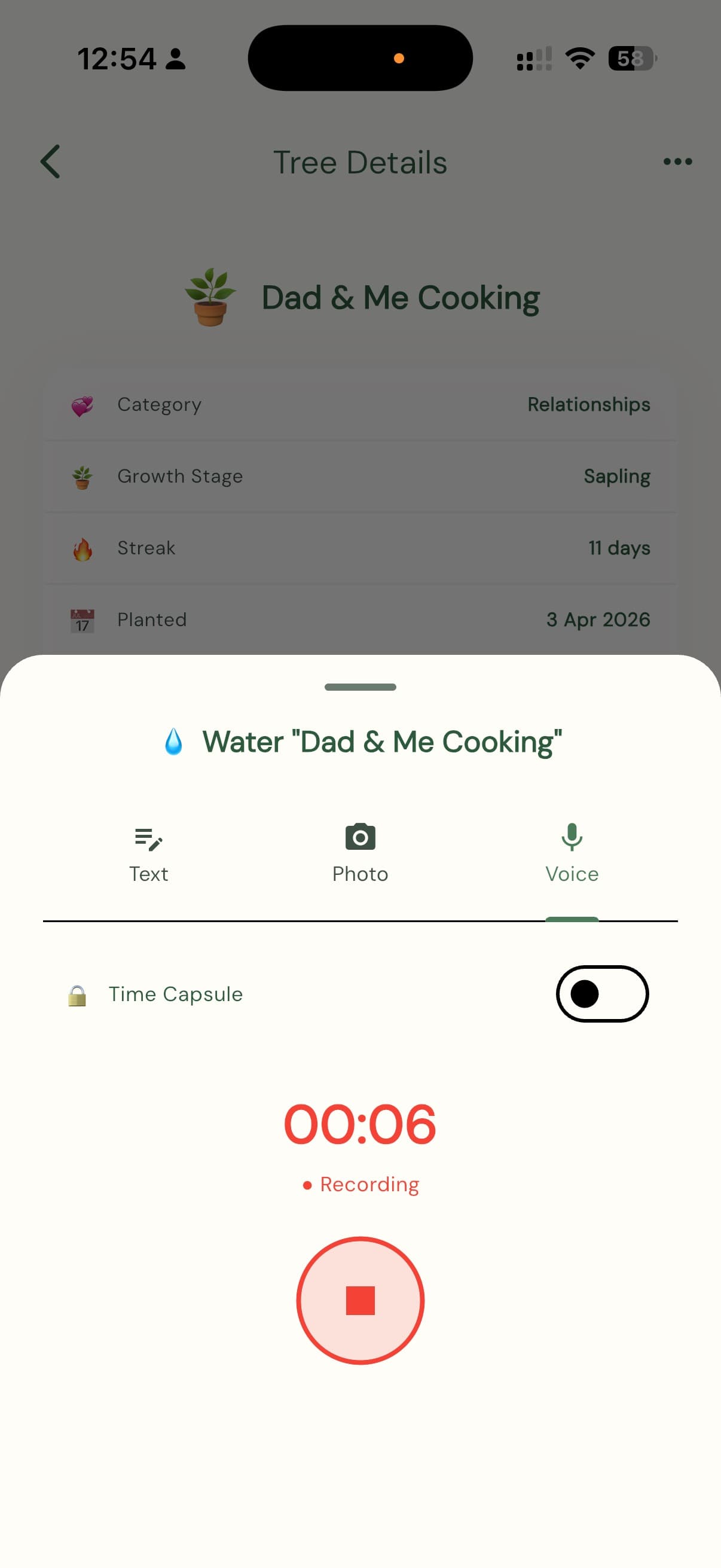 Water with a voice echo — recording in progress